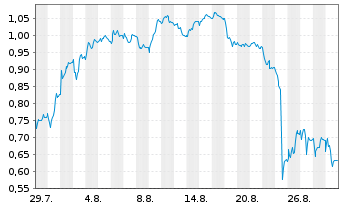 Chart Mini Future Short Puma - 1 Month
