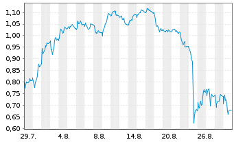 Chart Mini Future Short Puma - 1 Month