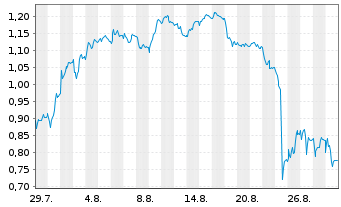 Chart Mini Future Short Puma - 1 Month