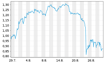 Chart Mini Future Short Puma - 1 Month