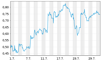 Chart Mini Future Long FinTech Group - 1 Monat