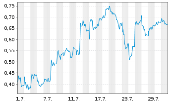 Chart Mini Future Long FinTech Group - 1 Monat