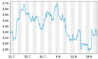 Chart Mini Future Short Netflix - 1 Monat