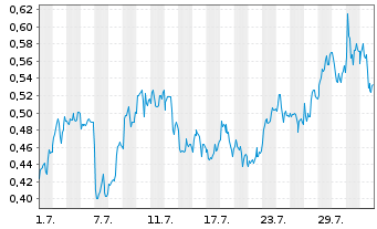 Chart Mini Future Long Shell - 1 Month