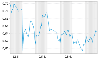 Chart Mini Future Short Shell - 1 Monat