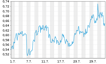 Chart Mini Future Long Shell - 1 Month