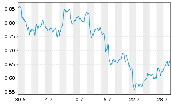 Chart Mini Future Long Micron - 1 Monat