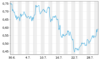 Chart Mini Future Long Micron - 1 Monat