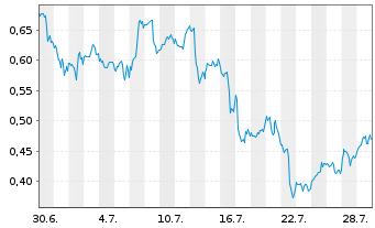 Chart Mini Future Long Micron - 1 Monat