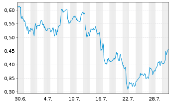 Chart Mini Future Long Micron - 1 Monat
