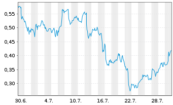 Chart Mini Future Long Micron - 1 Monat