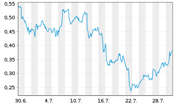 Chart Mini Future Long Micron - 1 Monat