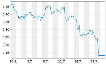 Chart Mini Future Long Micron - 1 Monat