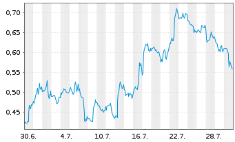 Chart Mini Future Short Micron - 1 Monat