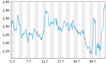 Chart Mini Future Short Visa - 1 Month