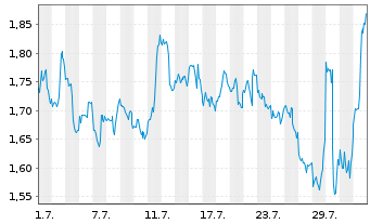 Chart Mini Future Short Visa - 1 Month