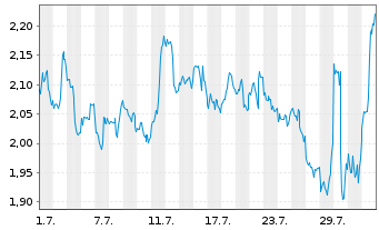 Chart Mini Future Short Visa - 1 Month