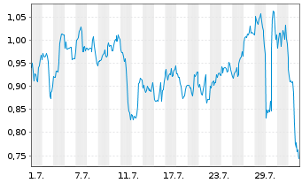 Chart Mini Future Long Visa - 1 Month