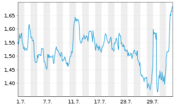 Chart Mini Future Short Visa - 1 Month