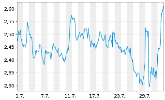 Chart Mini Future Short Visa - 1 Month