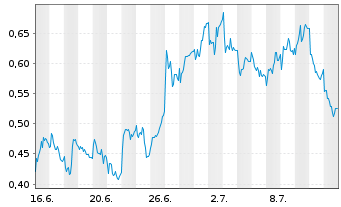 Chart Mini Future Long Puma - 1 mois