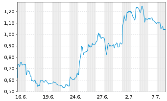 Chart Mini Future Long SMA Solar - 1 Monat