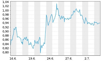 Chart Mini Future Short Shell - 1 Monat