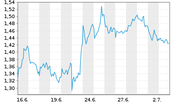 Chart Mini Future Short Shell - 1 Monat