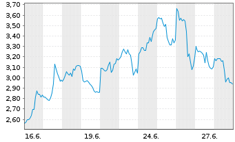 Chart Mini Future Long Micron - 1 Month