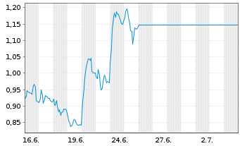 Chart Mini Future Long Schaeffler - 1 Monat