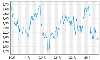 Chart Mini Future Long Adyen - 1 Monat