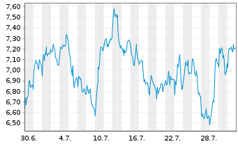 Chart Mini Future Short Adyen - 1 Monat