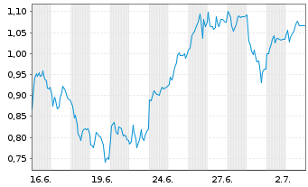 Chart Mini Future Long Jungheinrich - 1 Monat