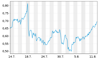 Chart Mini Future Long 3M - 1 Monat