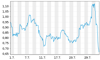 Chart Mini Future Long Snowflake - 1 Month