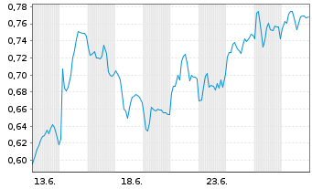 Chart Mini Future Long PVA TePla - 1 Monat