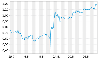 Chart Mini Future Long PVA TePla - 1 Month