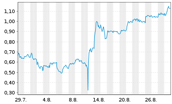 Chart Mini Future Long PVA TePla - 1 Month