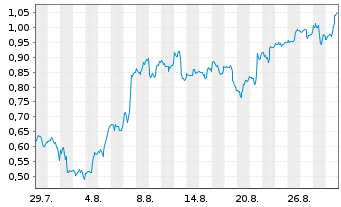 Chart Mini Future Long Pan American Silver - 1 Month