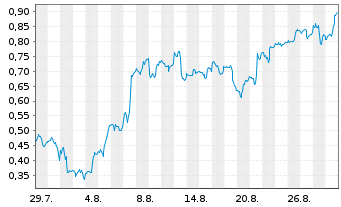Chart Mini Future Long Pan American Silver - 1 Month