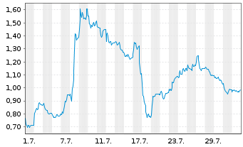 Chart Mini Future Long Salzgitter - 1 Month