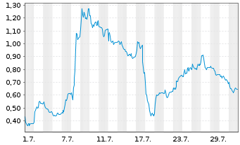 Chart Mini Future Long Salzgitter - 1 Monat