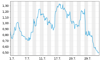 Chart Mini Future Long Siltronic - 1 Month