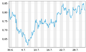 Chart Mini Future Long Aroundtown - 1 Monat