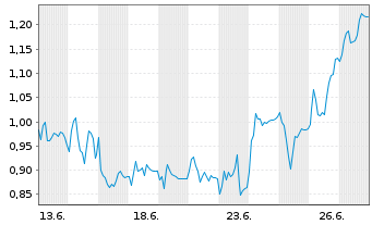 Chart Mini Future Long secunet - 1 Monat