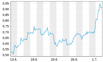 Chart Mini Future Long Standard Lithium - 1 Monat