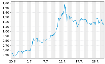 Chart Mini Future Long Standard Lithium - 1 Monat