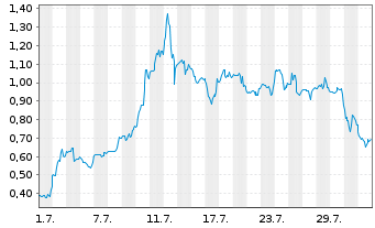Chart Mini Future Long Standard Lithium - 1 Monat