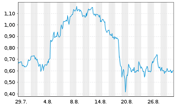 Chart Mini Future Long Palantir - 1 Month