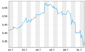 Chart Mini Future Long BYD - 1 mois